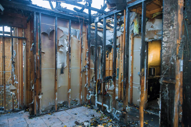 Professional Fire Damage Removal technician working in Big Lake, MN
